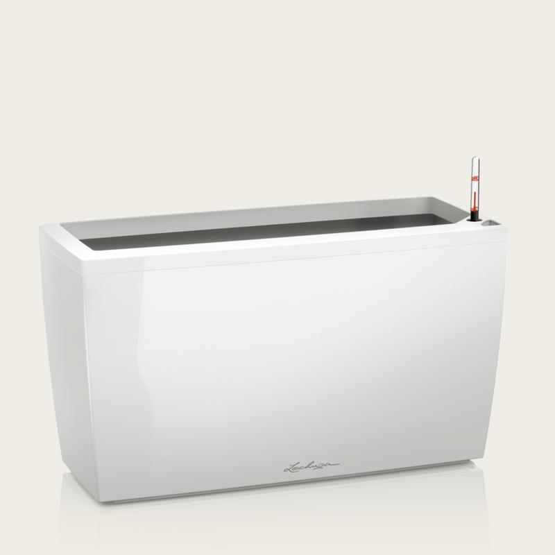 CARARO Premium — White High Gloss