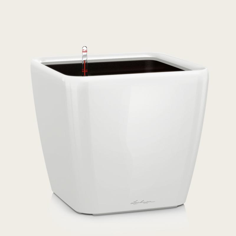 QUADRO Premium LS — White High Gloss